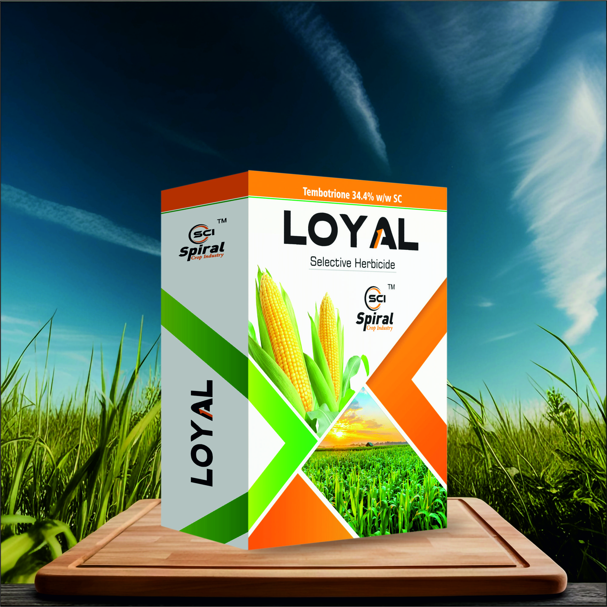 LOYAL