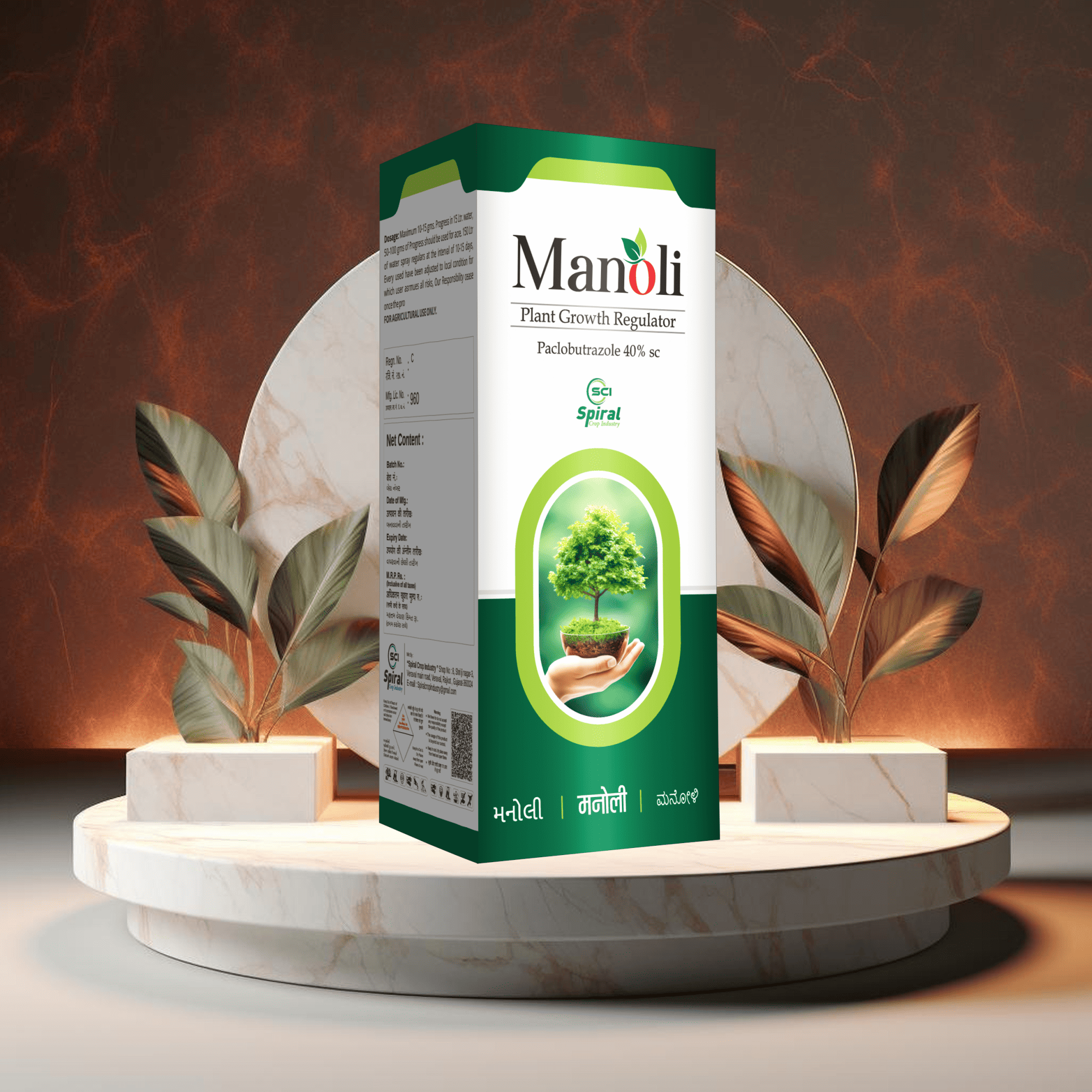 MANOLI